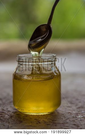 Honey In Jar And Window With Green On Backcground