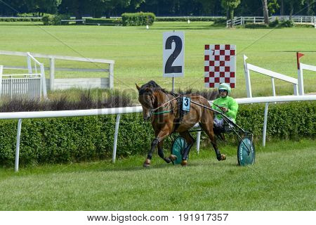 WROCLAW, POLAND - JUNE 18: Thetis des Neuzy horse on the race for 8-year-old and older trotting French on 18 June 2017 in Wroclaw, Poland. This is an annual race on Partenice track open to the public.