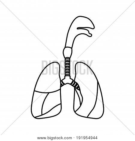 sketch silhouette respiratory system with windpipe vector illustration