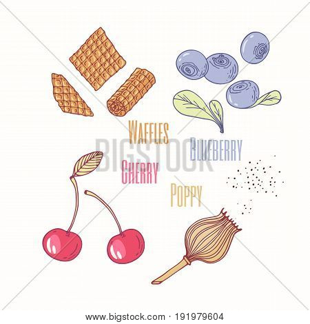Set of sweet toppings waffles, blueberry, cherry and poppy. Hand drawn food. Vector illustration