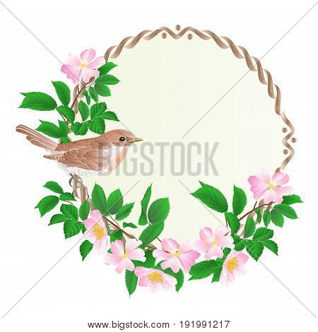 Floral round frame with wild Roses and cute small singing bird vintage festive background vector illustration editable hand draw