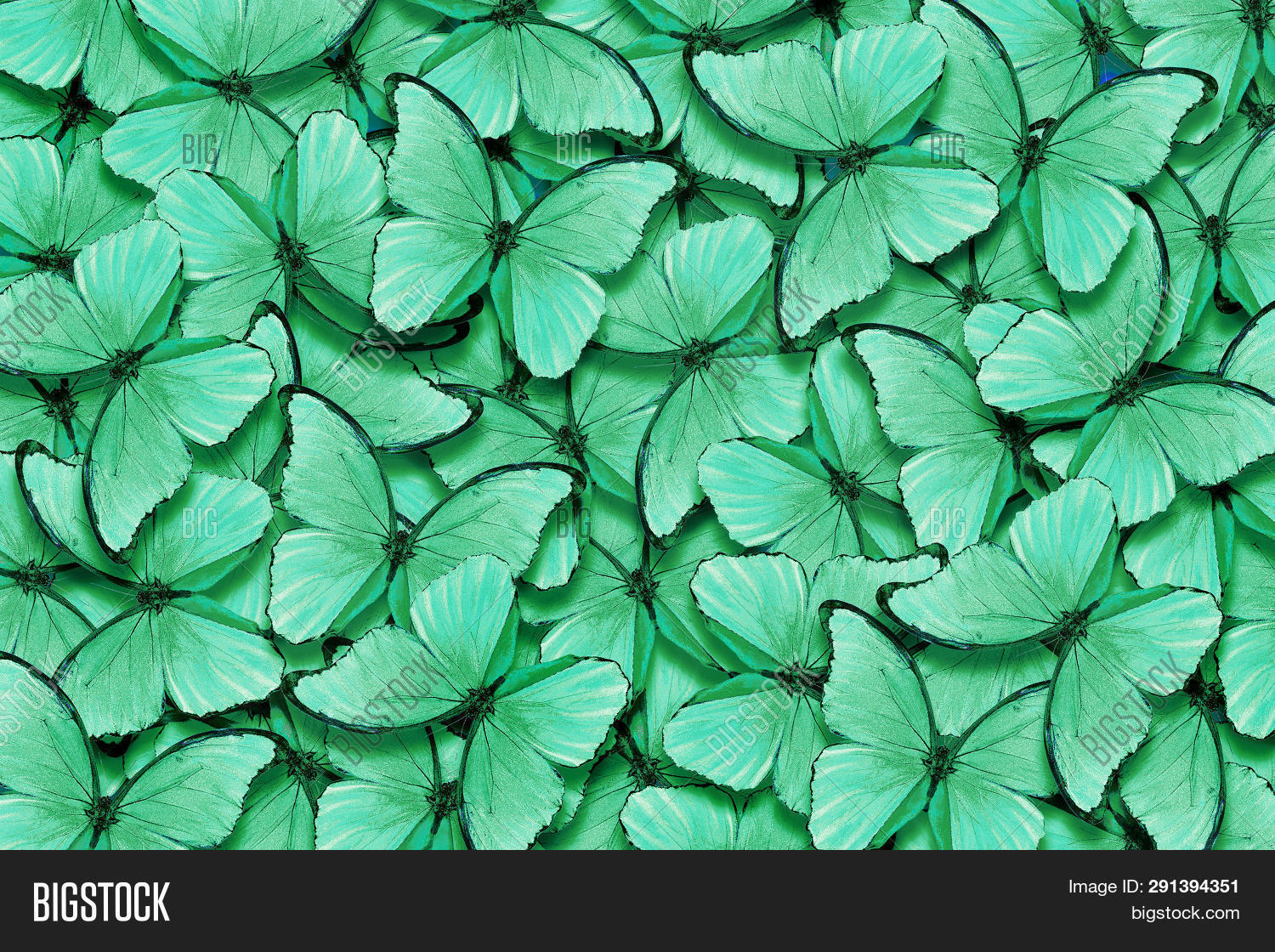 Mint. Color. Green Image &amp; Photo (Free Trial) | Bigstock