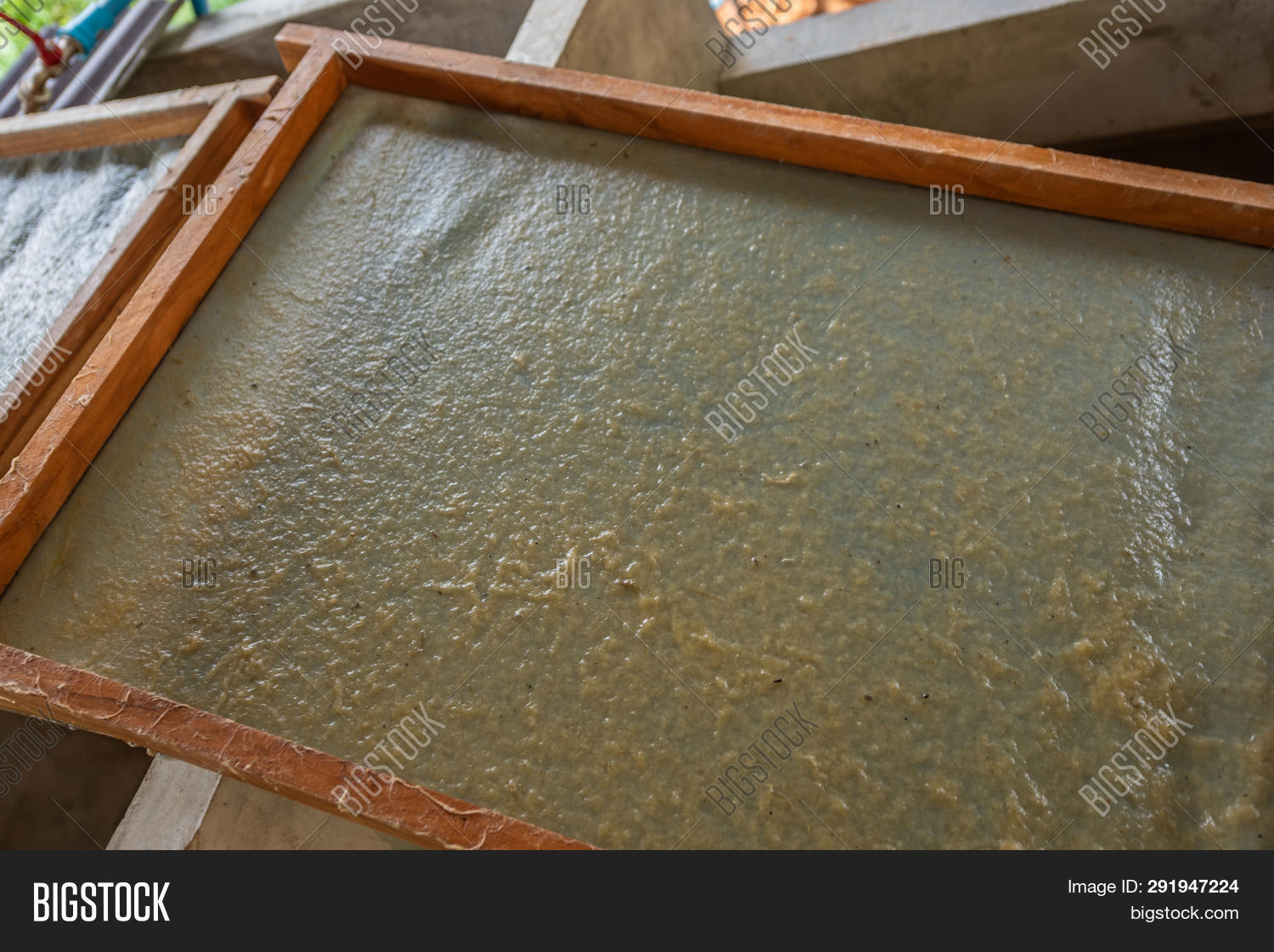 Sustainable Paper Made Image & Photo (Free Trial) Bigstock