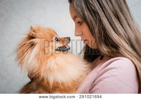 Teenage Girl With A Dog Breed Spitz Rejoices With A Pet At Home On The Floor. Care And Training Of A