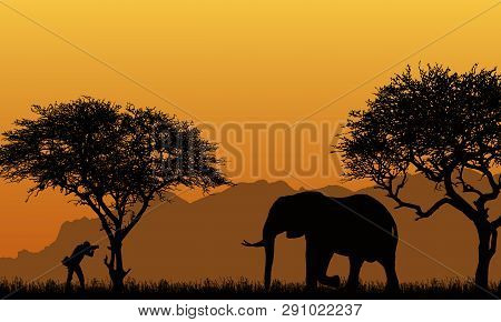 Realistic Illustration Of A Silhouette Of A Man Photographer And Elephant In An African Safari With 