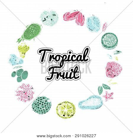 Tropical Fruit Design Set. Fruit: Mangosteen, Papaya, Durian, Pomelo, Guava, Chompoo, Mangosteen, Ca