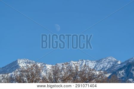 Treetops Against Mount Timpanogos And Sky In Utah