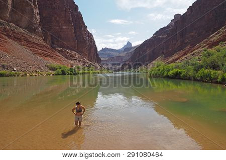 Young Woman Wading In A Calm Section Of The Colorado River Above Hance Rapids In Early Morning In Gr