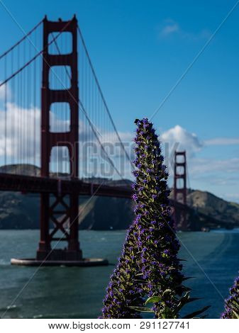 View Of The Golden Gate From The Bay, San Francisco  United States