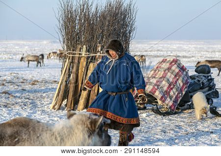 Nadym, Russia - April 27, 2018:tundra, Open Area, Assistant Reindeer Breeder,  The Men  In National