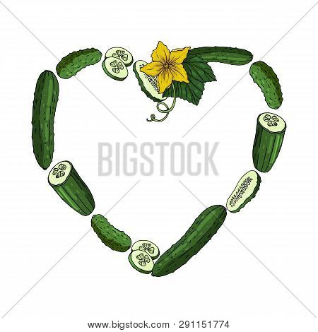 Heart Frame Made Of Cucumbers, Cucumber Slices, Leaf And Flower. Template With Fresh Vegetables On W