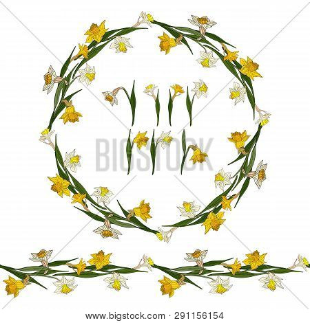 Set With White And Yellow Daffodils. Round Frame, Endless Horizontal Border And Elements On White Ba