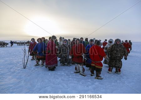 Nadym, Russia - February 23, 2019: Yamal, Open Area, Tundra,the Extreme North,  Races On Reindeer Sl