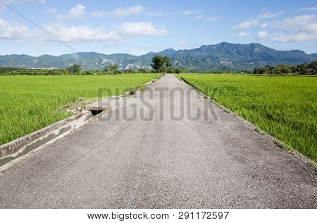 road at green paddy farm in the countryside