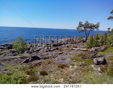Mighty Trees Grow Along The Shores Of Valaam Island. The Wonderful Island Valaam Is Located On Lake 