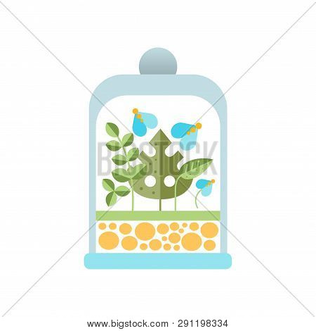 Natural Blue Flowers And Green Leaves Under Glass Dome. Flat Vector Icon Of Original Transparent Flo