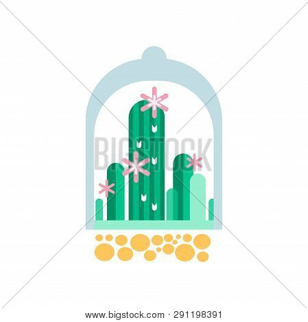 Green Cactus Plants With Pink Flowers Under Transparent Dome. Flat Vector Icon Of Home Succulents In