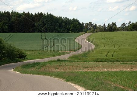 Curved Asphalt Road Alongside Green Grainfields With Tire Tracks And Forest
