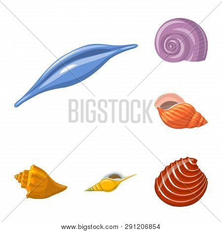 Vector Illustration Of Seashell And Mollusk Icon. Collection Of Seashell And Seafood  Stock Symbol F