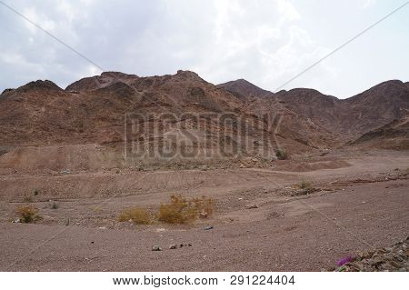 Wadi Shahamon Near Eilat In Gloomy Day