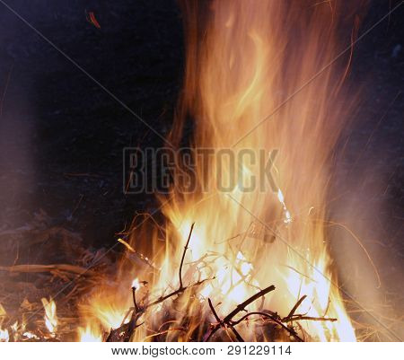 Fire, Flames On A Black Background, Fire Texture