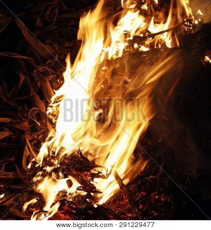 Fire, Flames On A Black Background, Fire Texture