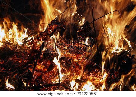 Fire, Flames On A Black Background, Fire Texture