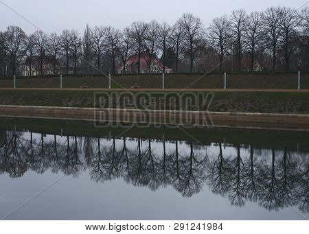 Trees Of An Alley Mirrored In A Nearby River