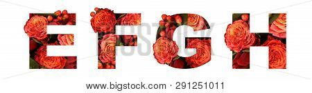 Floral font letter EFGH from a real red-orange roses for bright design. Stylish font of flowers for conceptual ideas.