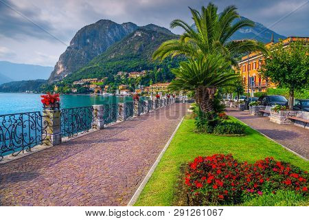 Summer Holiday Location, Spectacular Promenade With Colorful Flowers In Public Park And Palm Trees O