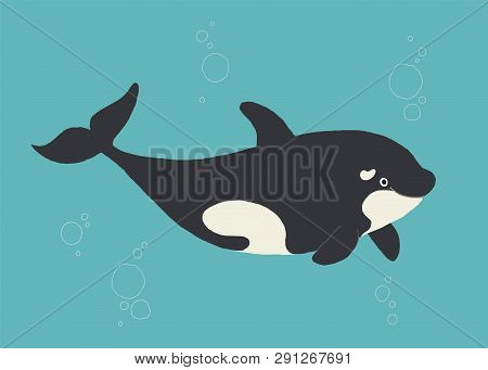 Vector Whale Killer In Water. Flat Orca Swimming. Cartoon Vector Hand Drawn Eps 10 Children S Book I