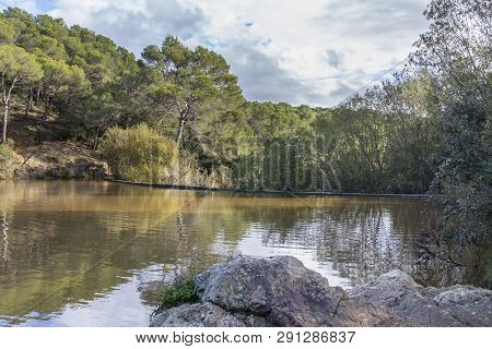 Small Lake In A Sunny Day In Terrassa, Barcelona, Spain