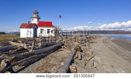 Driftwood Collects Up At The High Water Mark On The Beach At Point Robinson In Puget Sound Washingto