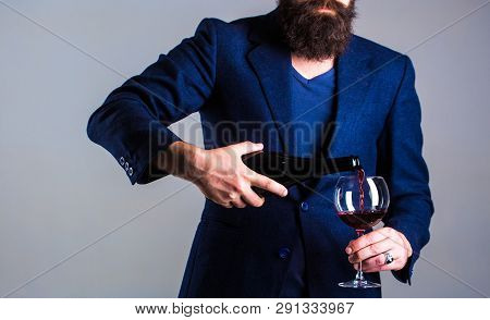 Sommelier Man, Degustator, Winery, Male Winemaker. Bottle, Red Wine Glass. Beard Man, Bearded, Somme