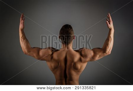 Muscular Back, Male Image & Photo (Free Trial) | Bigstock