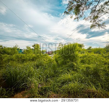 Blue Cloudy Sky And Open Green Field Meadow. Stratocumulus Cloud Type At Noon Day