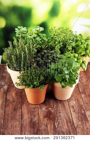 Homegrown And Aromatic Herbs In Old Clay Pots On Rustic Background
