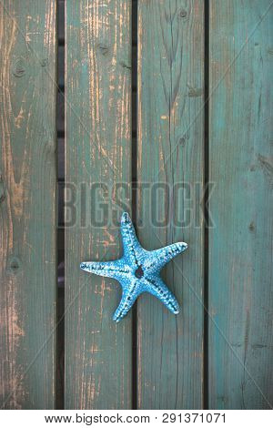 Starfish On A Green Benche, Wallpaper, Background Theme, Summer, Vacation, Holidays, 2019