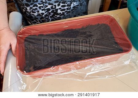 Woman Covers A Brown Plastic Box With Cellophane Wrap With Planted Seeds Of Plants And Flowers To Cr