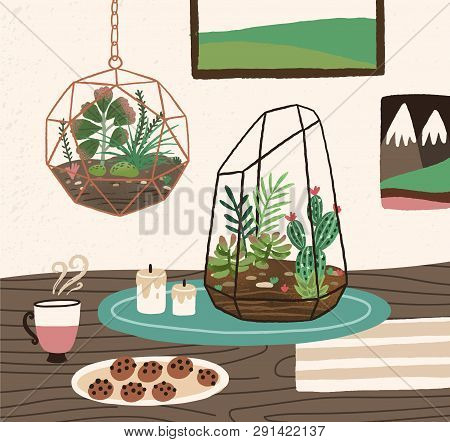 Interior Of Cozy Room With Succulents, Cactuses And Other Desert Plants Growing In Glass Vivariums O
