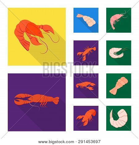 Vector Illustration Of Appetizer And Seafood Sign. Set Of Appetizer And Ocean Vector Icon For Stock.