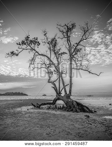 Blackwhite Landscape Photo Of  Batam Bintan Wonderful Indonesia