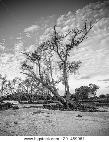 Blackwhite Landscape Photo Of  Batam Bintan Wonderful Indonesia