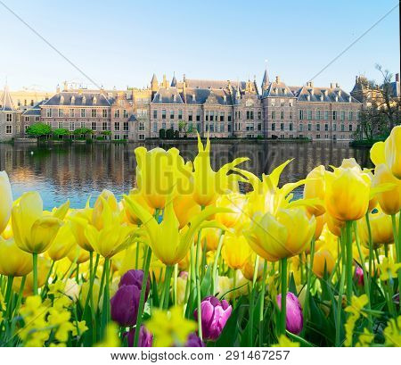Facade Of Binnenhof - Dutch Parliament With Tulips, The Hague, Holland