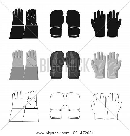 Vector Illustration Of Glove And Winter Symbol. Collection Of Glove And Equipment Vector Icon For St