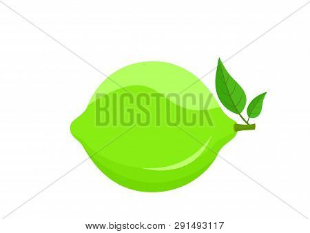 Green Lime With Leafs. Isolated Vector Image Of Fresh Organic Citrus Fruit