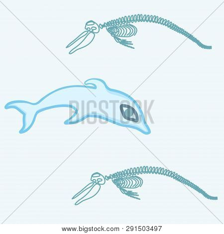 Dolphin And Sceleton Ecology Hystory Vector Pattern