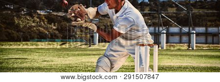Wicketkeeper catching cricket ball behind stumps during sunny day