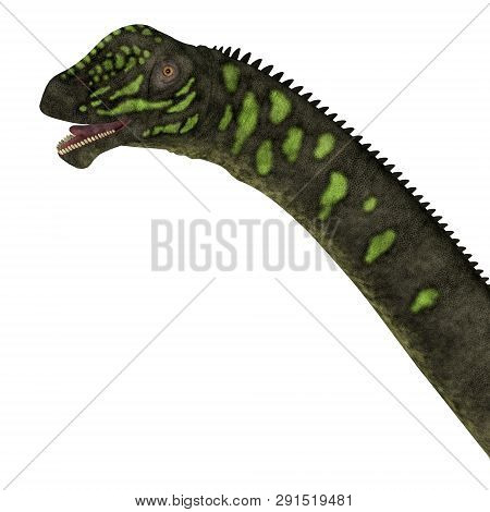 Mamenchisaurus Youngi Dinosaur Head 3d Illustration - Mamenchisaurus Youngi Was A Herbivorous Saurop