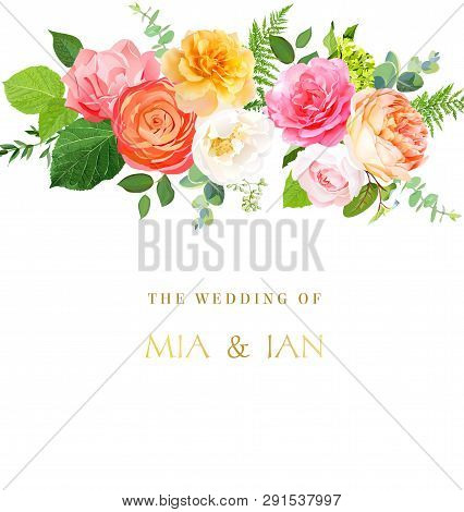 Floral Vector Design Horizontal Frame.pink, Yellow, Fuchsia Rose, Orange Ranunculus, Juliet Garden R